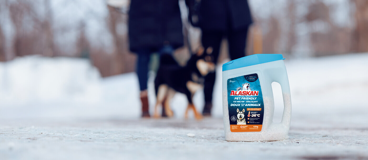 How to use a de-icing product without putting your dog in danger and which de-icing products are less dangerous for dogs.