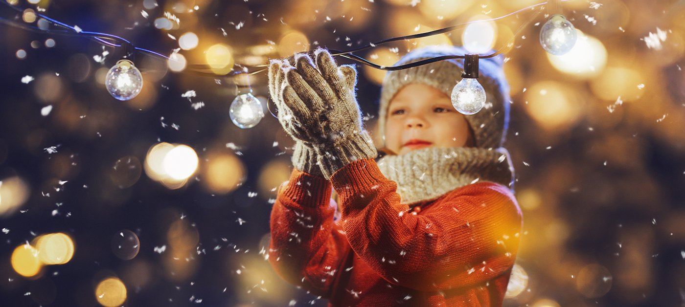alaskan-christmas-lights-choose-install-07