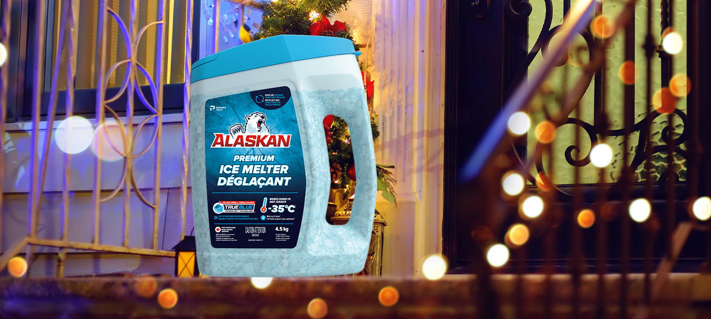 alaskan-christmas-lights-choose-install-12