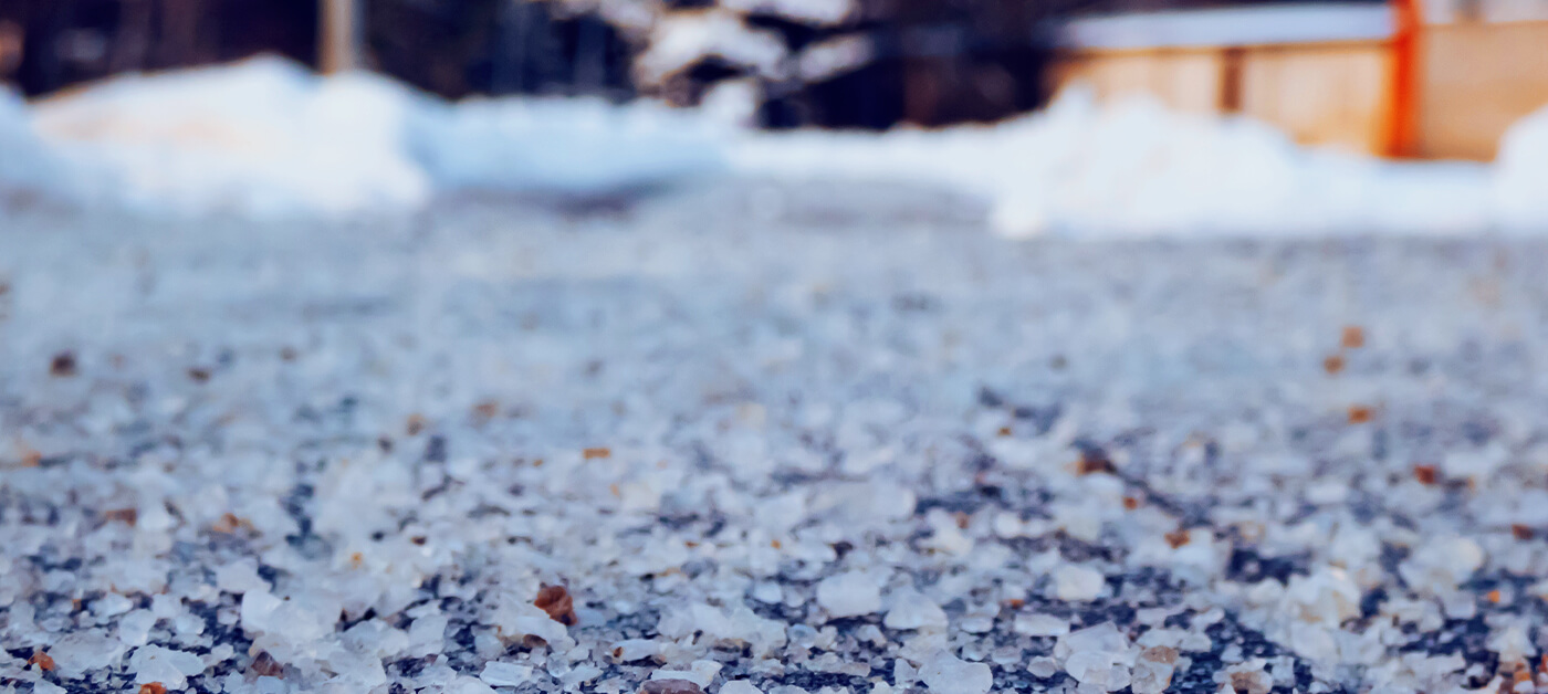 alaskan-winter-salt-injury-02