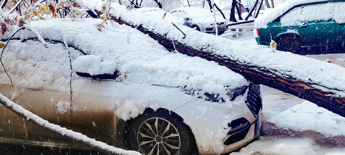 alaskan-what-does-el-nino-winter-mean-03