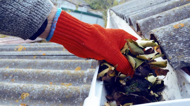 Homme retirant des feuilles de gouttières