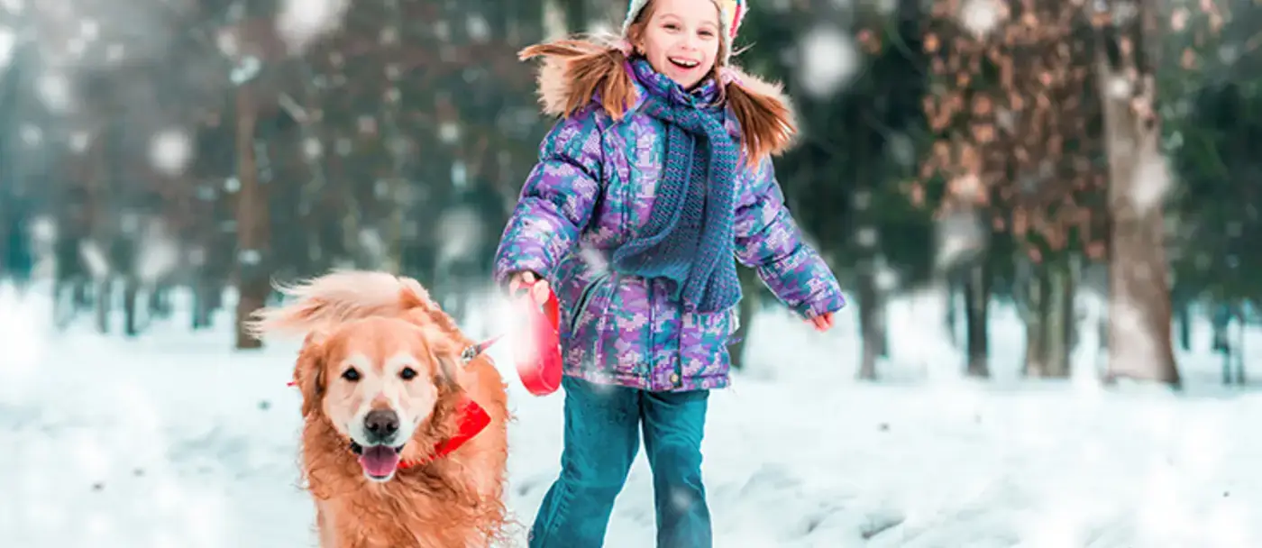 Choosing a pet friendly ice melter