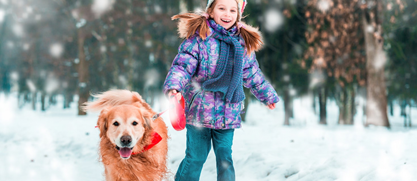 Choosing a pet friendly ice melter