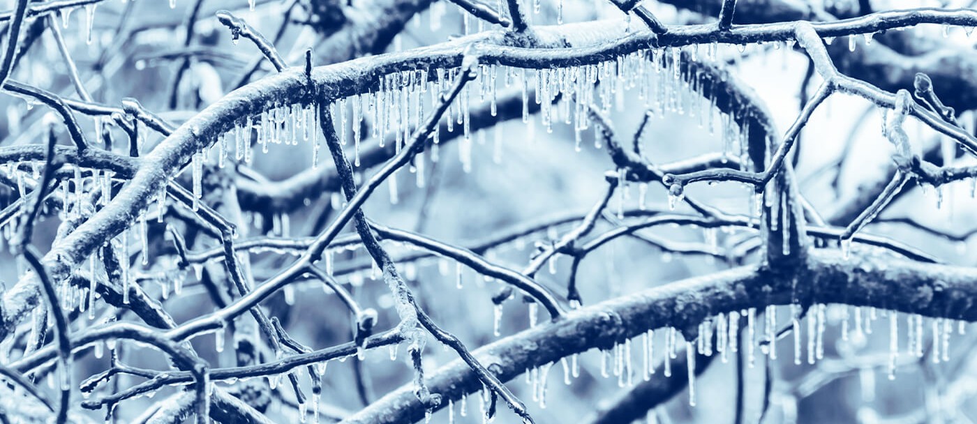 	alaskan-freezing-rain-risks-why-01